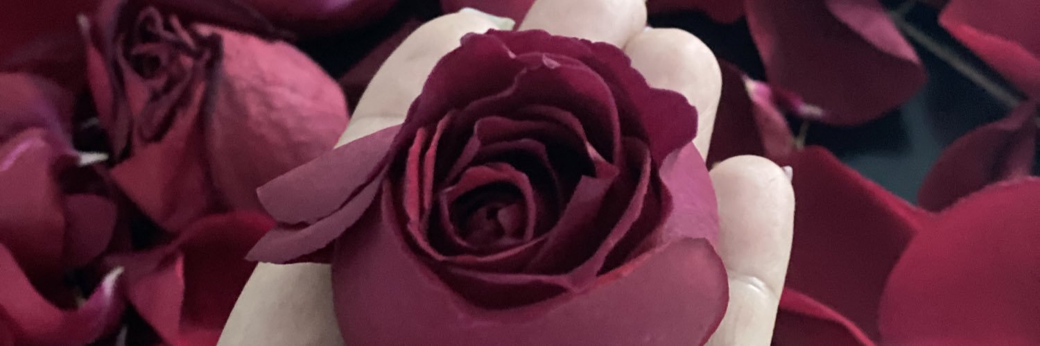 lauracancun's profile banner image