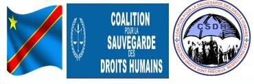 COALITION POUR LA SAUVEGARDE 2DROITS HUMAINS-CSDH banner