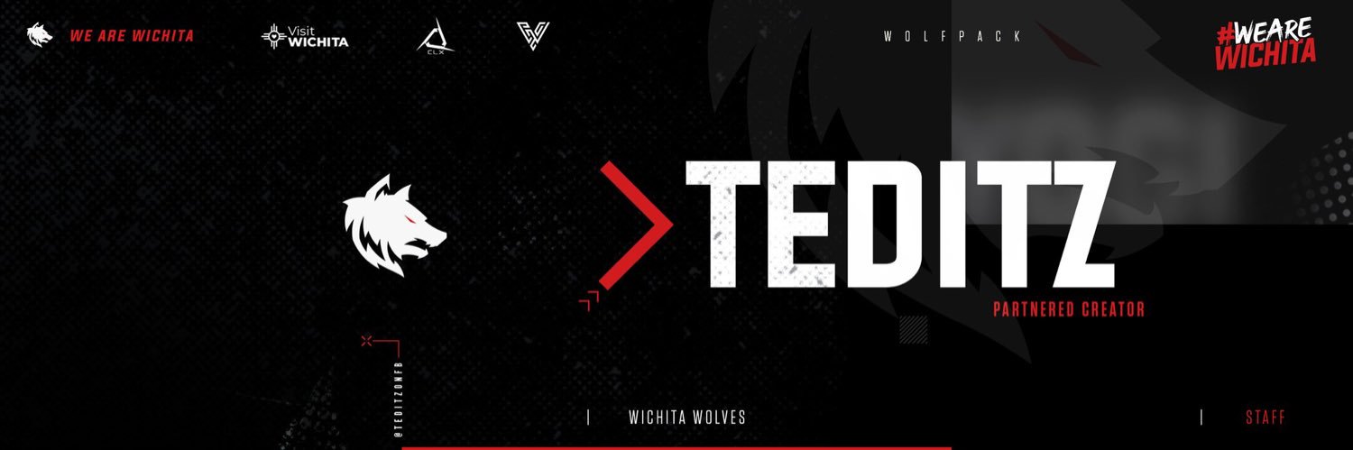 Teditz banner
