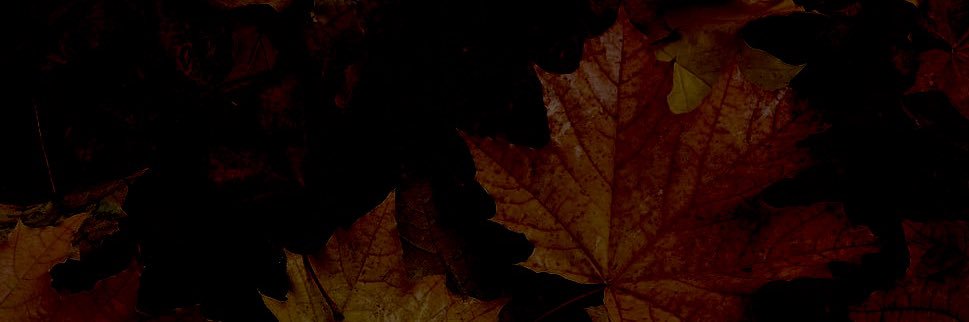 pcssedflcmes's profile banner image