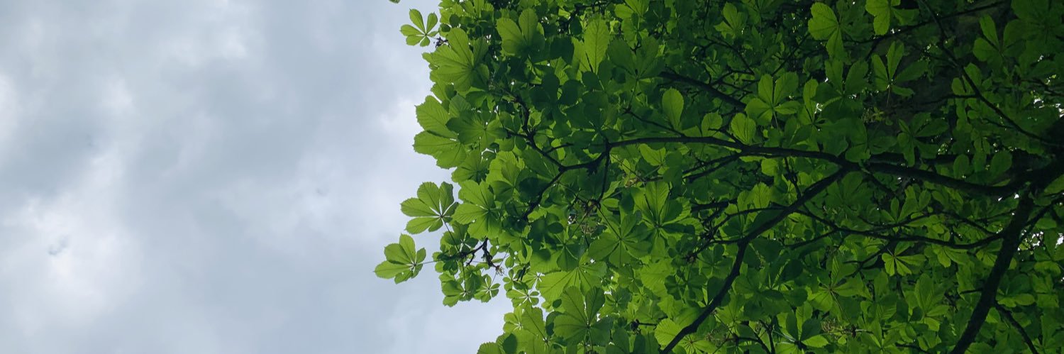 RorelynnZ's profile banner image