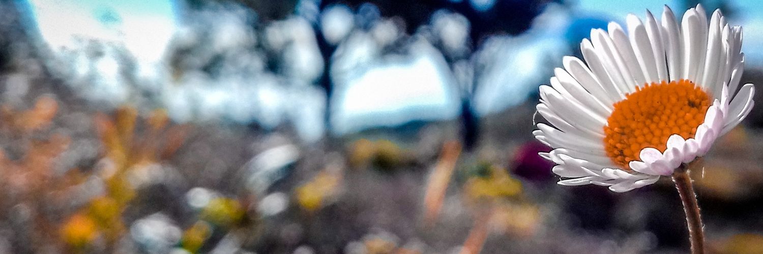 fitriumim's profile banner image