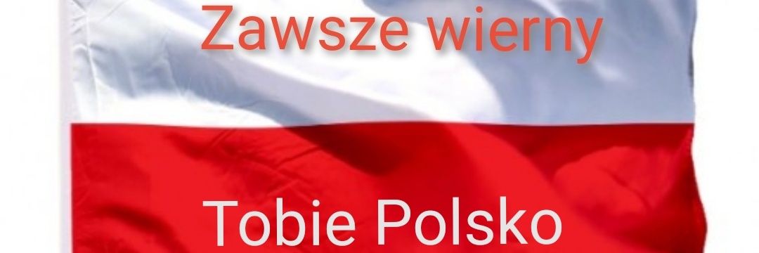 Megi 🇵🇱 banner