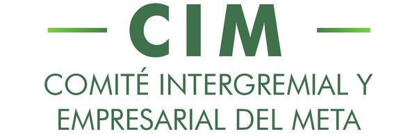 CIMMETA1 Profile Banner