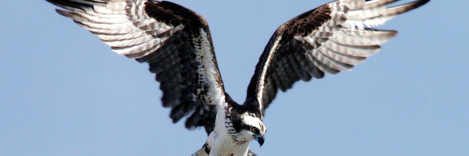 Sevco Security banner