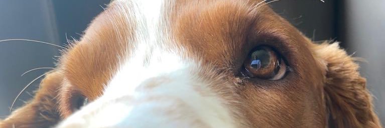 AJS_4H's profile banner image
