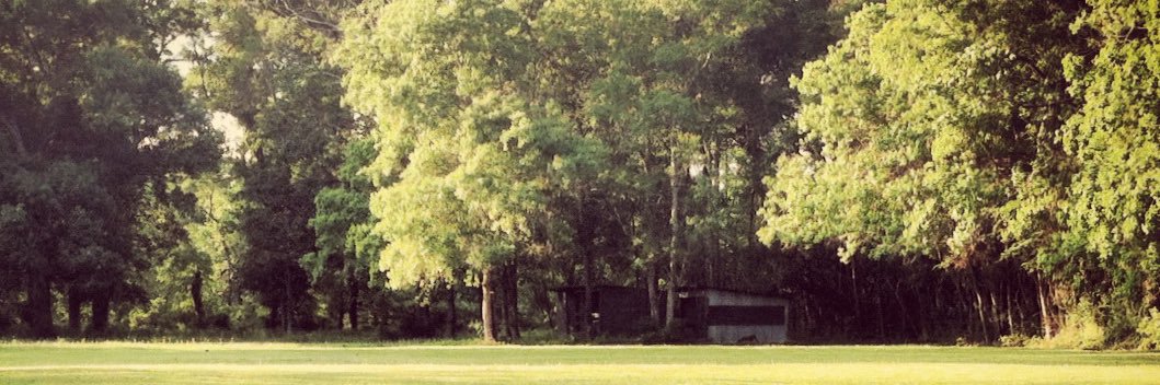 𝚔𝚎𝚕𝚕𝚢 𝚍𝚞𝚗𝚌𝚊𝚗 🦅 banner