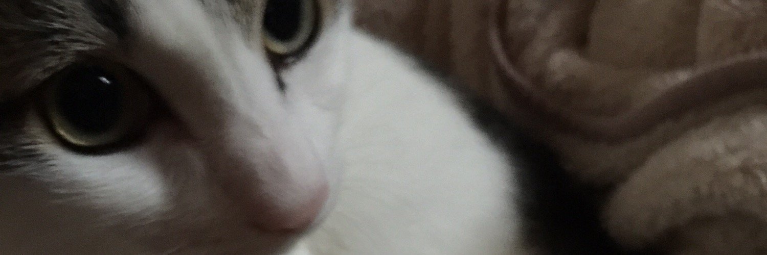 きー banner