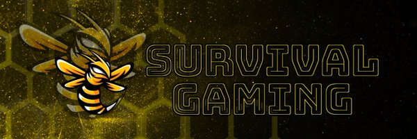 QueenbeePlayer Profile Banner