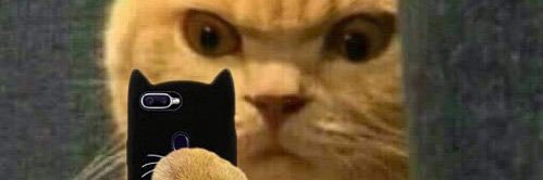 hazelnutchooco's profile banner image