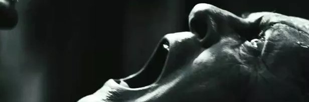 TLACAELELXXX's profile banner image