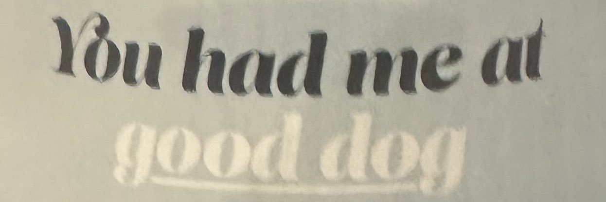 Amber🏳️‍⚧️🏳️‍🌈 banner