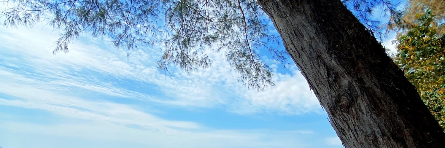 AnnNaruk2's profile banner image