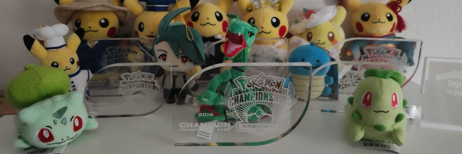 Lisa Steinmüller banner