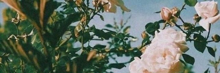 Tuğba Akduğan banner