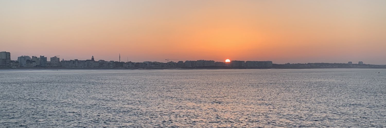 Alexandre Guerin banner