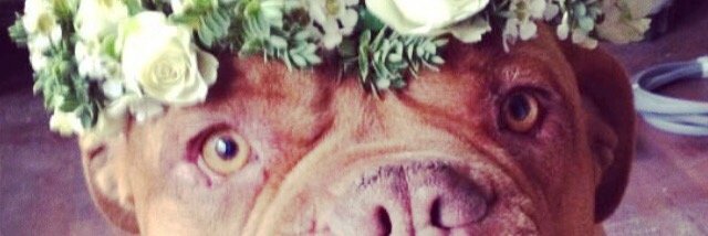 TuloulaB's profile banner image