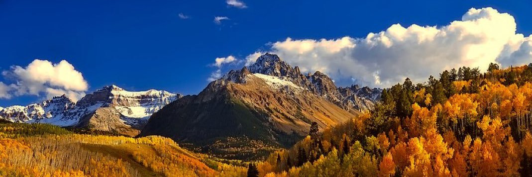 Gregory Gaylor banner