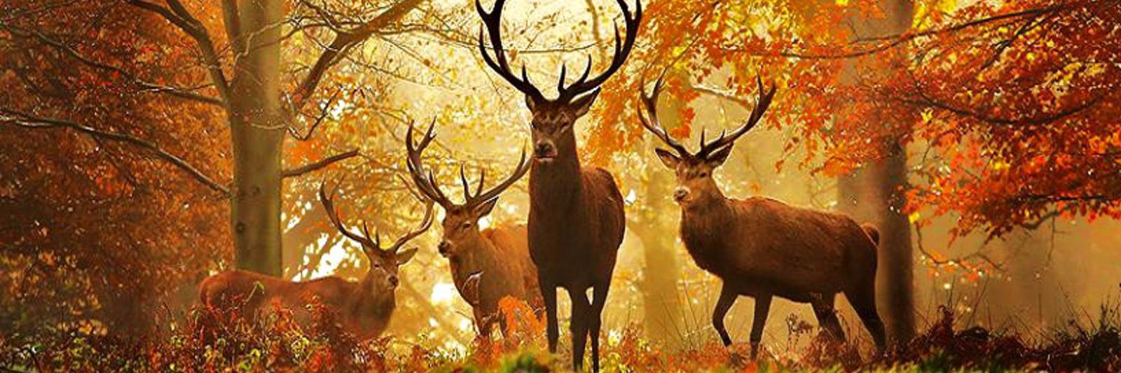 hunterkkx's profile banner image