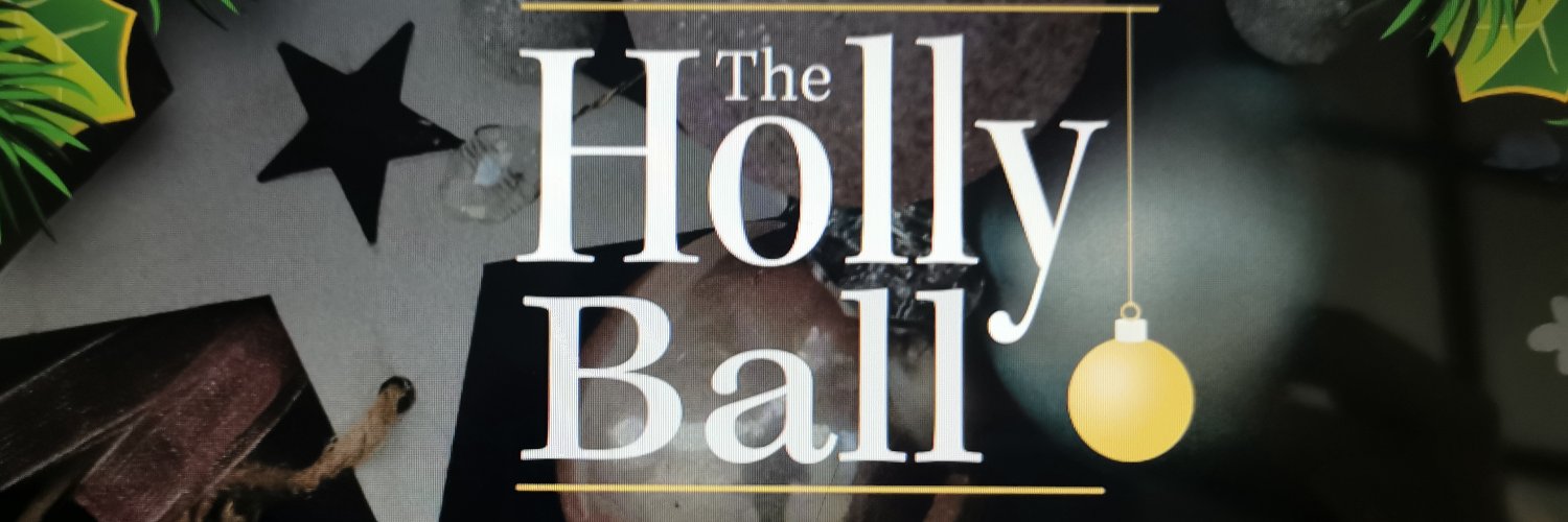 HollyBallFal's profile banner image