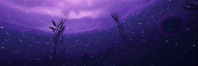 platinum banner