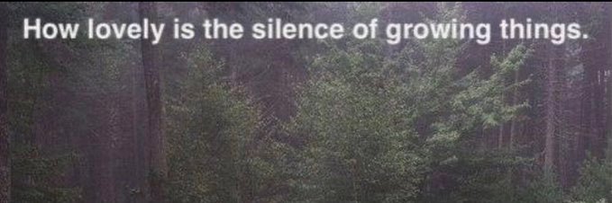 raqneverlaq's profile banner image
