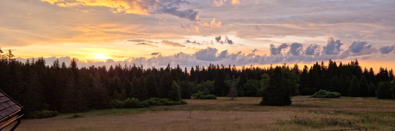 MichallMarek's profile banner image