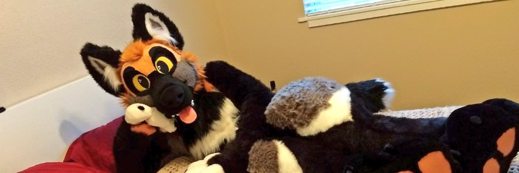 Arik_Fox's profile banner image