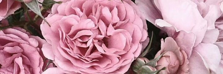 cinlucile's profile banner image