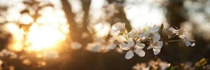 xBrokenSxul's profile banner image