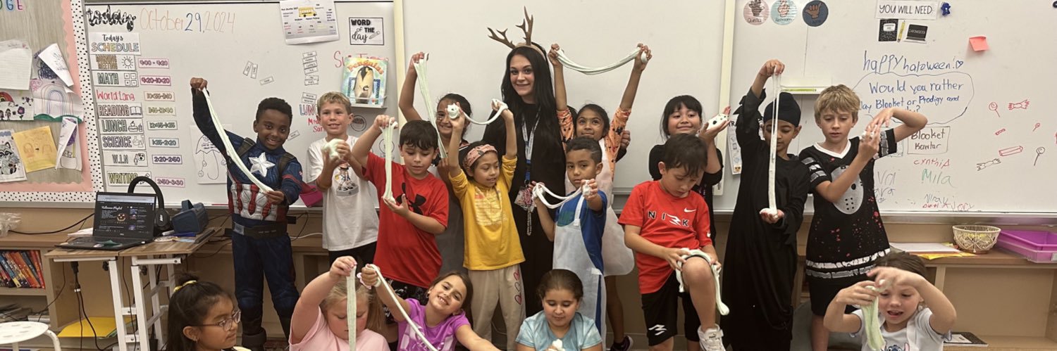 Chelsea Mecanko banner