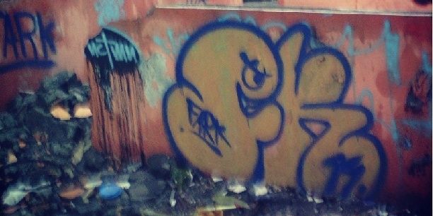 FARIS banner
