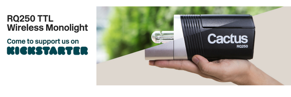 cactus_image Profile Banner