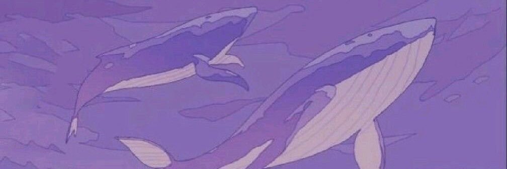 bbiyoombi's profile banner image
