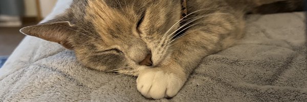 DefNotKenzz Profile Banner