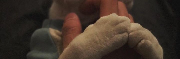 gotcubam's profile banner image