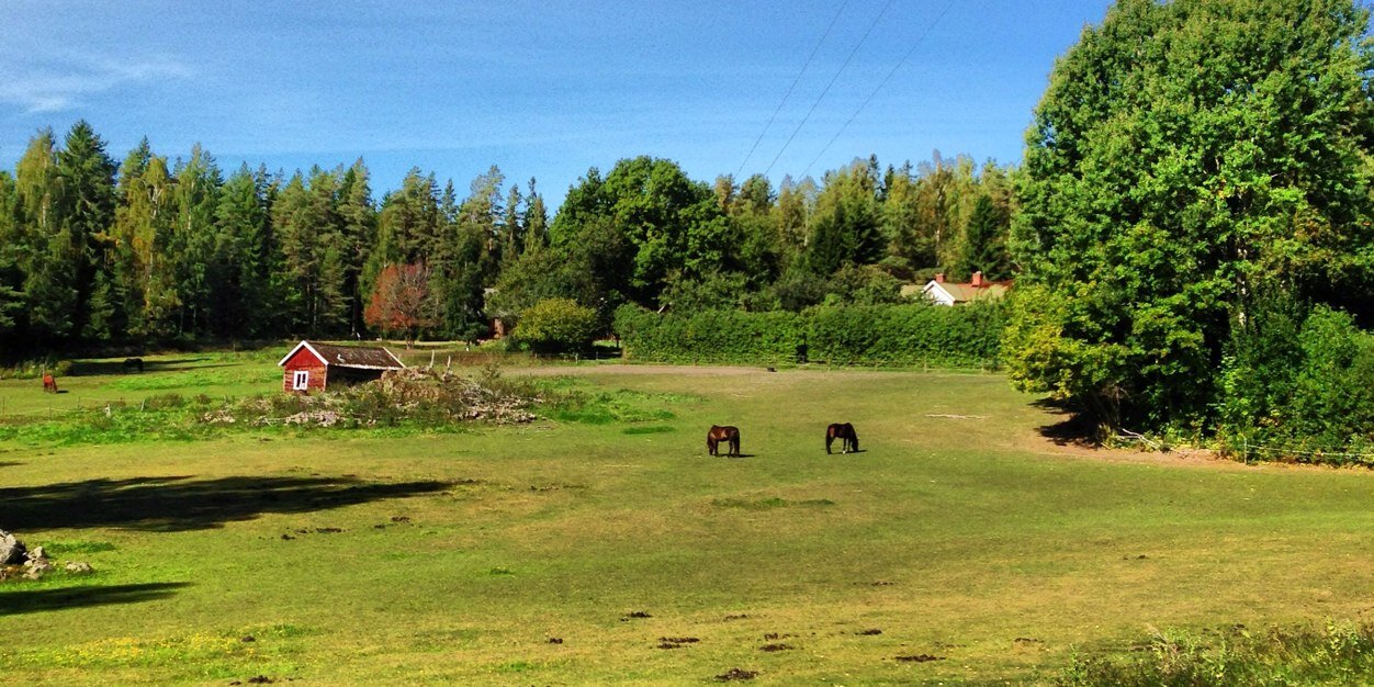 Michael Lindgren banner