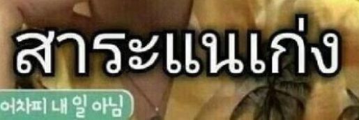 หนู'ศร ft. banner