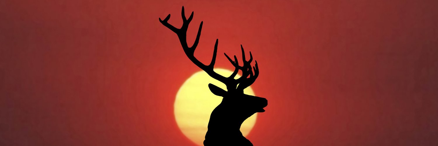 Xezbeth23's profile banner image