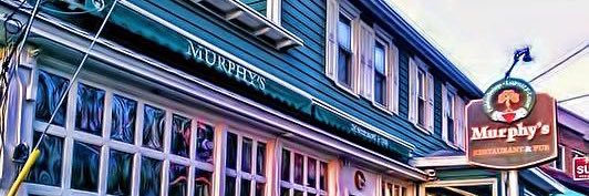 murphysnewpaltz's profile banner image
