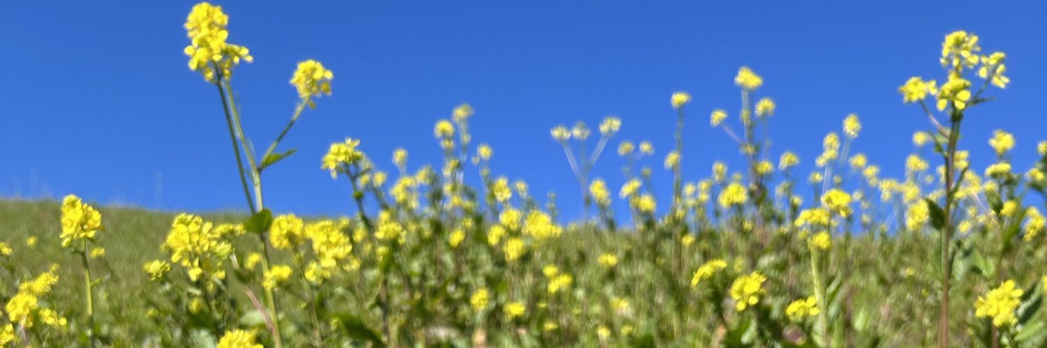 vaymclane's profile banner image
