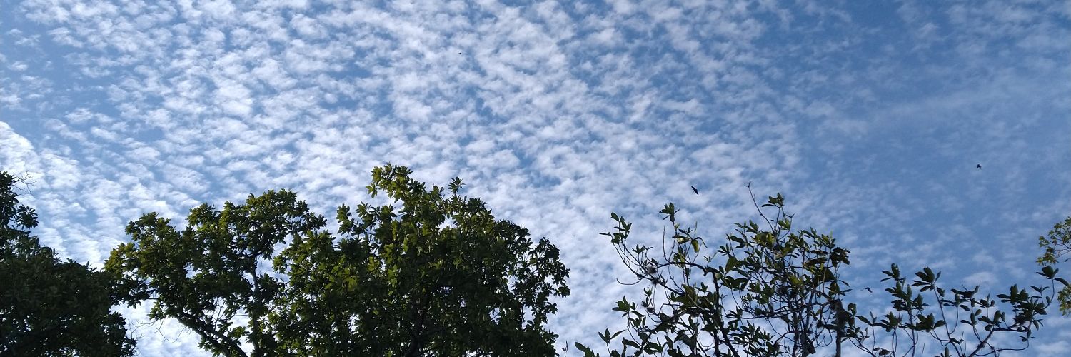 🇻🇪🇻🇪 banner