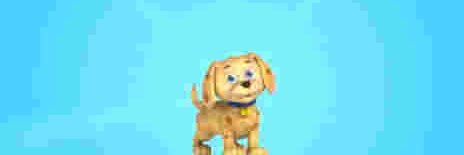 theforge129 🇺🇦 🇵🇸 banner