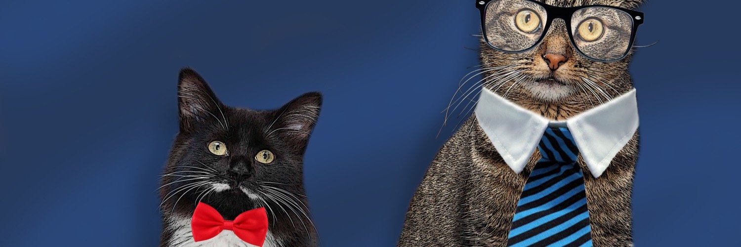 adamvmar's profile banner image