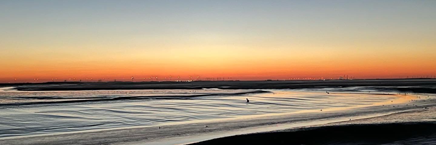 𝖑 𝖚 𝖈 𝖆  banner