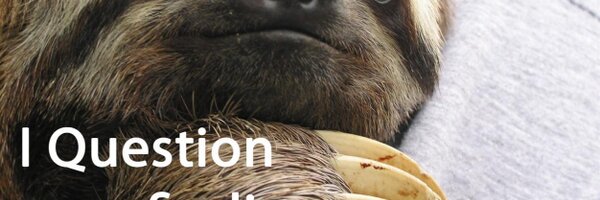 AcademicSloth Profile Banner