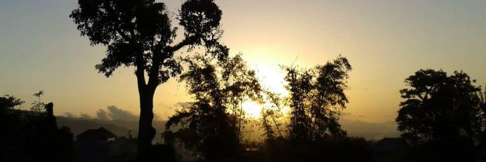 djH_dewi's profile banner image