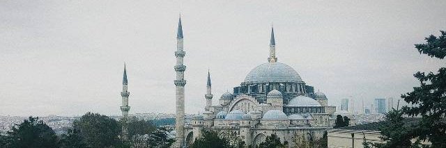 Hasan Ece banner