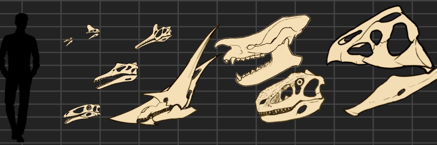 Pennacotta banner