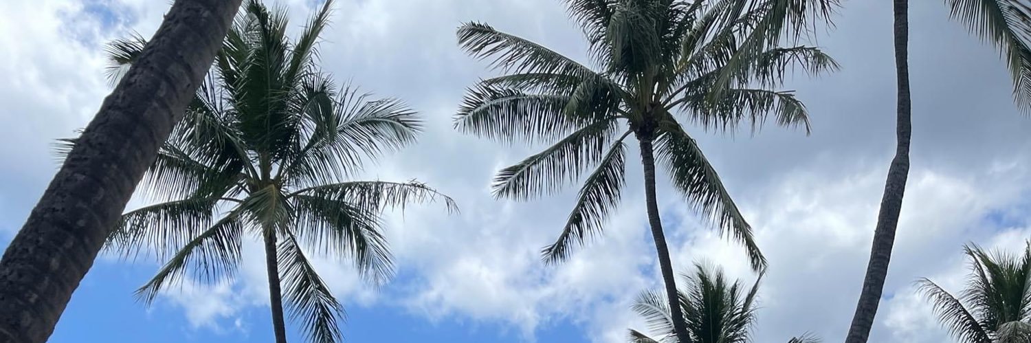 einalomeli7's profile banner image